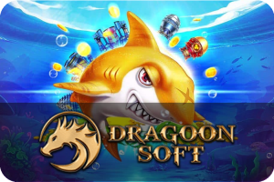 ค่าย-dragoon-sort-แตกง่าย-300x200